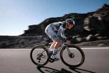 Specialized Specialized